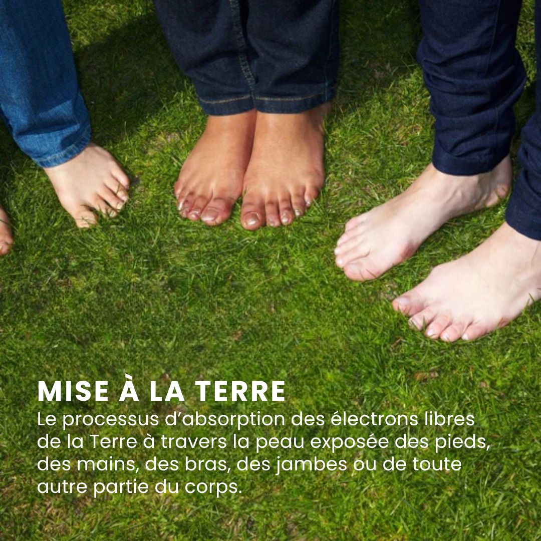 Drap de mise à la terre - Semello.fr